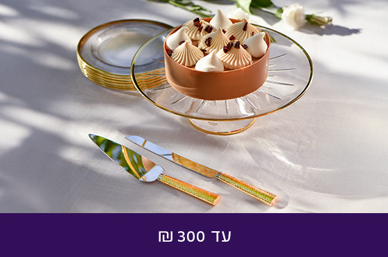 עד 300 ש"ח